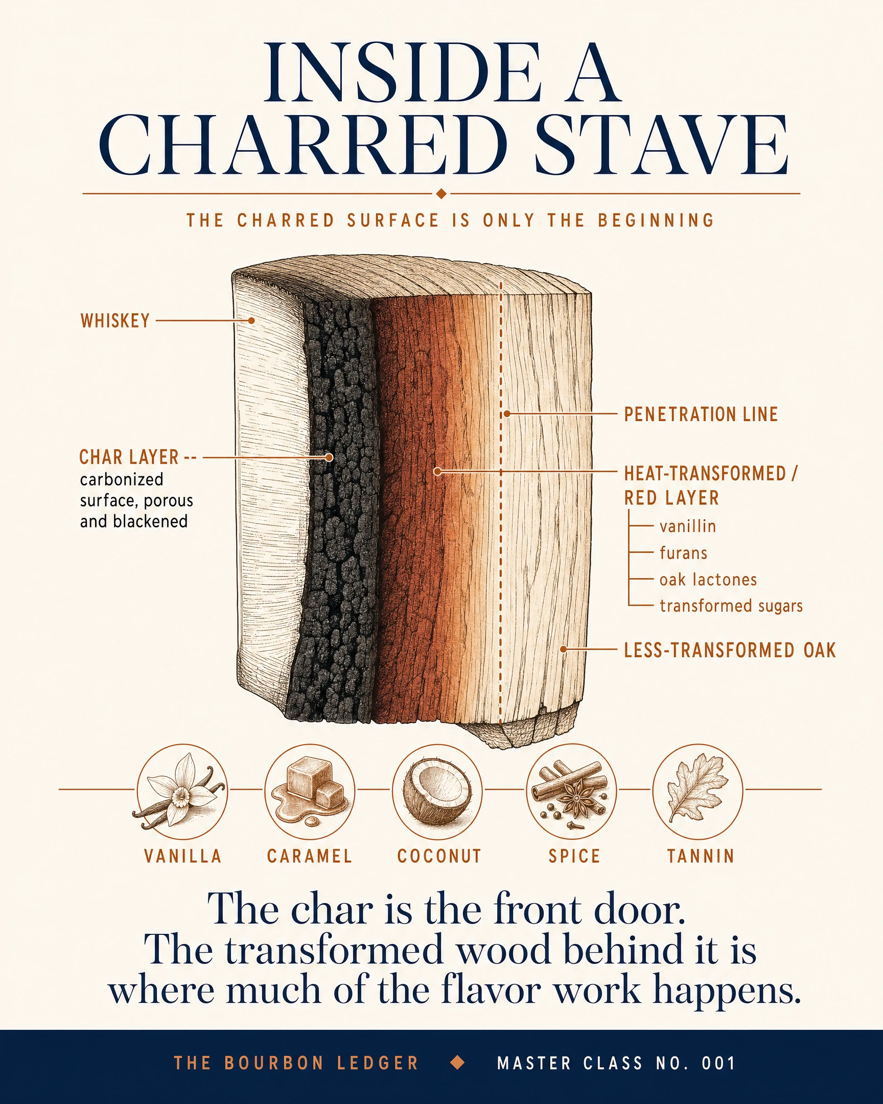 Cross-section illustration of a charred oak stave showing the black char layer, heat-transformed red layer, penetration line and less-transformed oak, with a flavor callout for vanilla, caramel, coconut, spice and tannin
