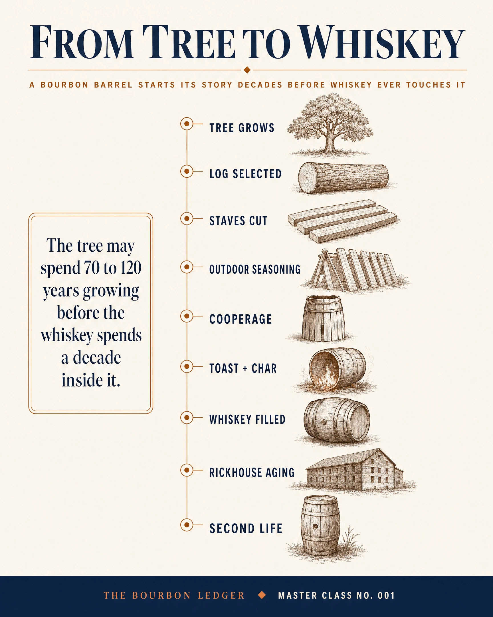 Vertical timeline illustration: tree grows, log selected, staves cut, outdoor seasoning, cooperage, toast and char, whiskey filled, rickhouse aging, second life